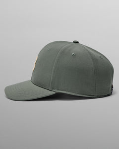 Dark-Olive
